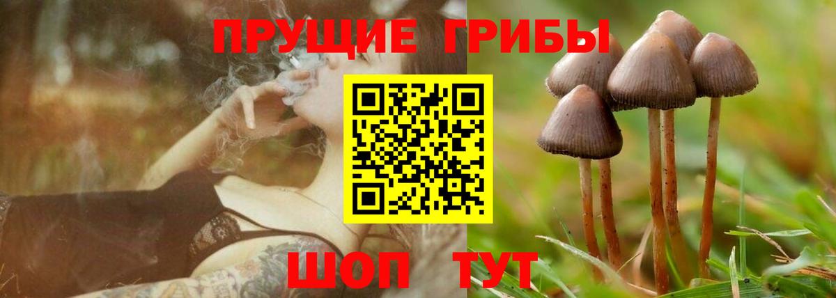 Псилоцибиновые грибы Psilocybine cubensis  Вход с VPN  Тобольск  Псилоцибиновые грибы Psilocybe 
